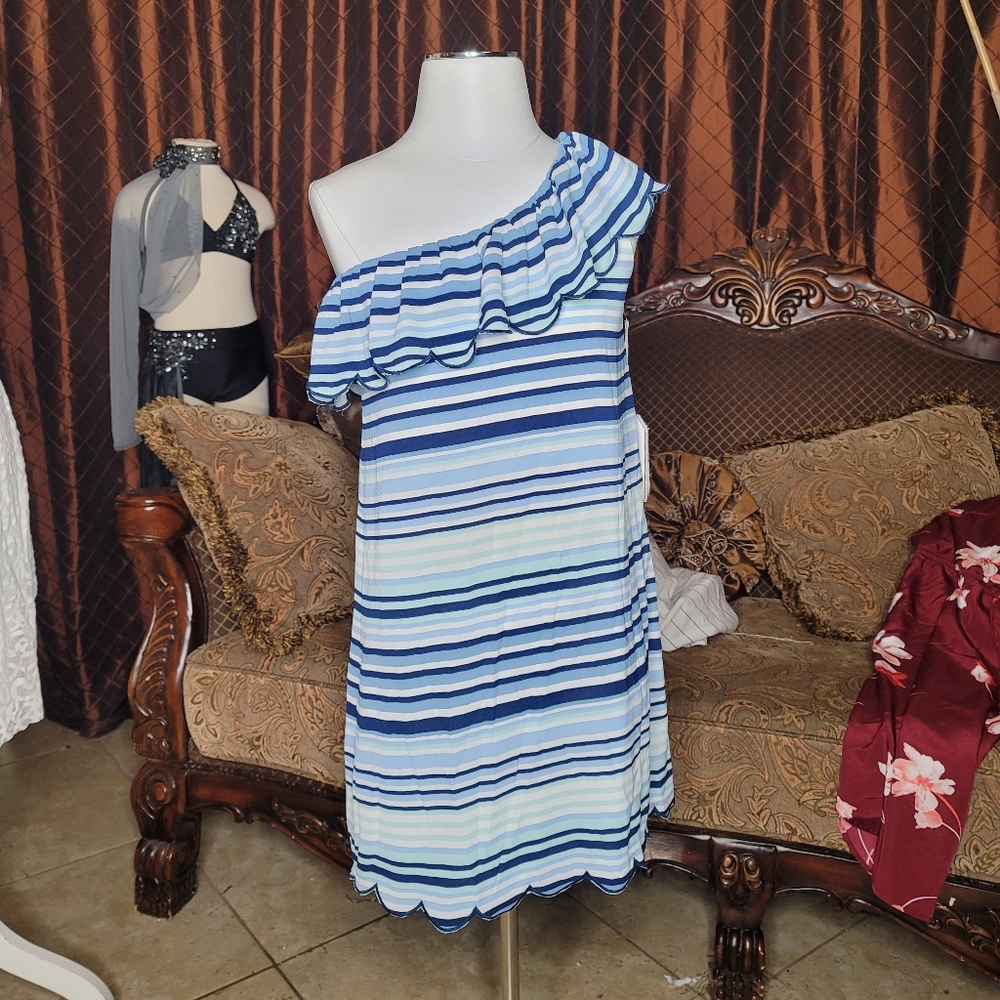 Secrets of Charm dress, new without tags, size small, original price $98